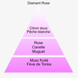 L'essenza Diamant rose