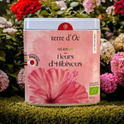 Fleurs d'Hibiscus thé vert bio