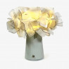Clizia lampe
